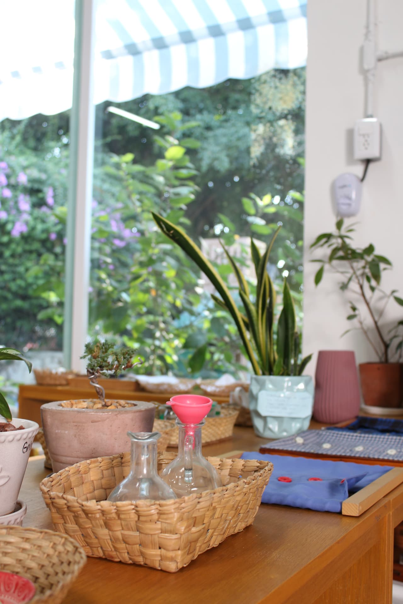 Aula de Creeser Montessori con luz natural, plantas y materiales a la vista